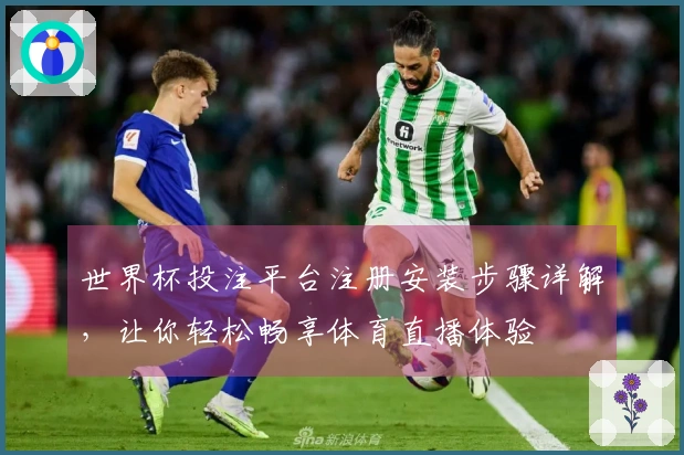 世界杯投注平台注册安装步骤详解，让你轻松畅享体育直播体验