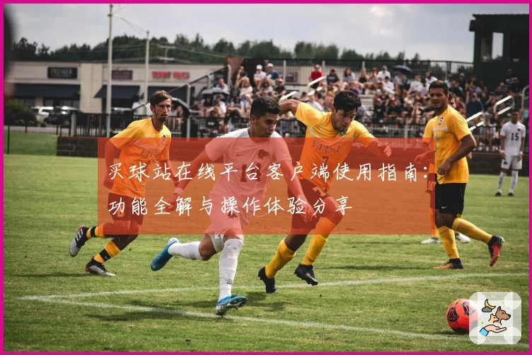 买球站在线平台客户端使用指南：功能全解与操作体验分享
