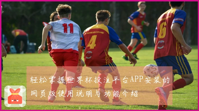 轻松掌握世界杯投注平台APP安装的网页版使用说明与功能介绍