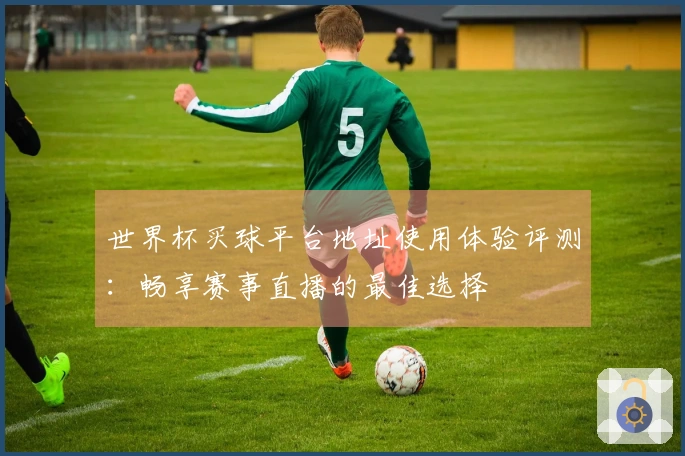 世界杯买球平台地址使用体验评测：畅享赛事直播的最佳选择