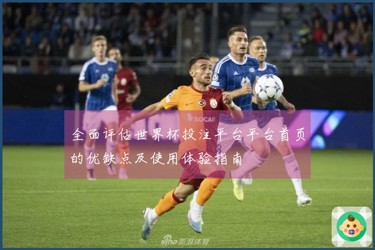 全面评估世界杯投注平台平台首页的优缺点及使用体验指南