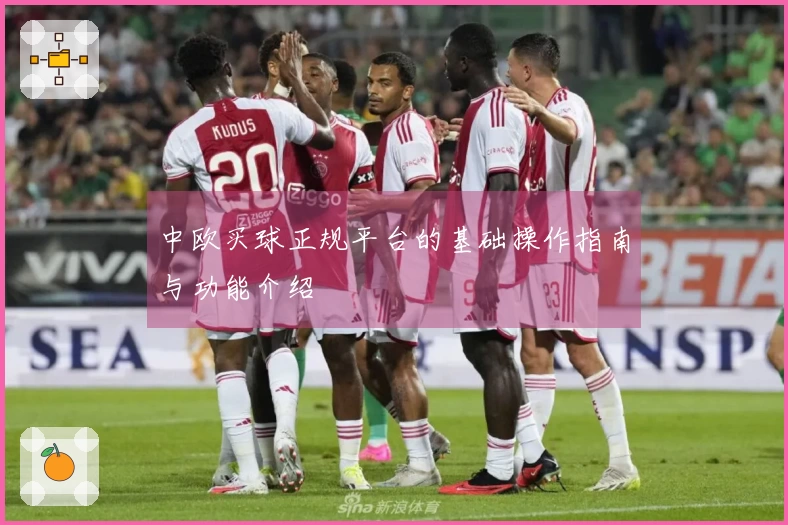 中欧买球正规平台的基础操作指南与功能介绍