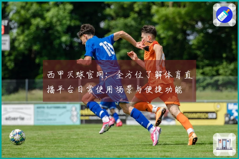 西甲买球官网：全方位了解体育直播平台日常使用场景与便捷功能