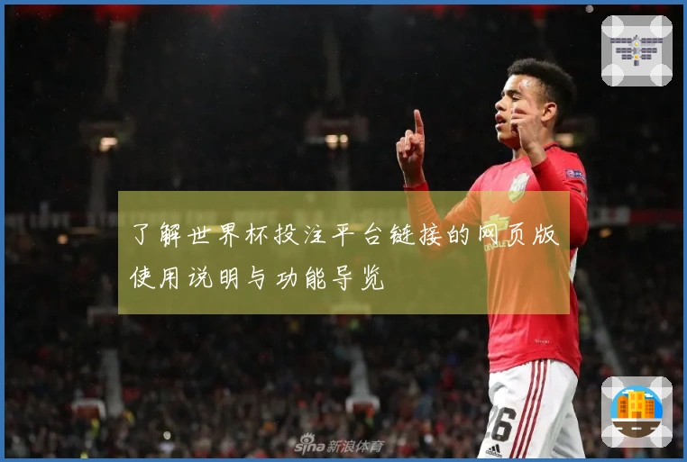 了解世界杯投注平台链接的网页版使用说明与功能导览