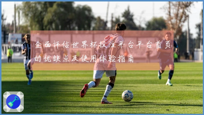 全面评估世界杯投注平台平台首页的优缺点及使用体验指南
